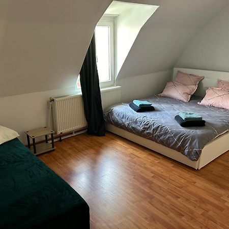 Apartament Bivolul Negru Blaj Zewnętrze zdjęcie