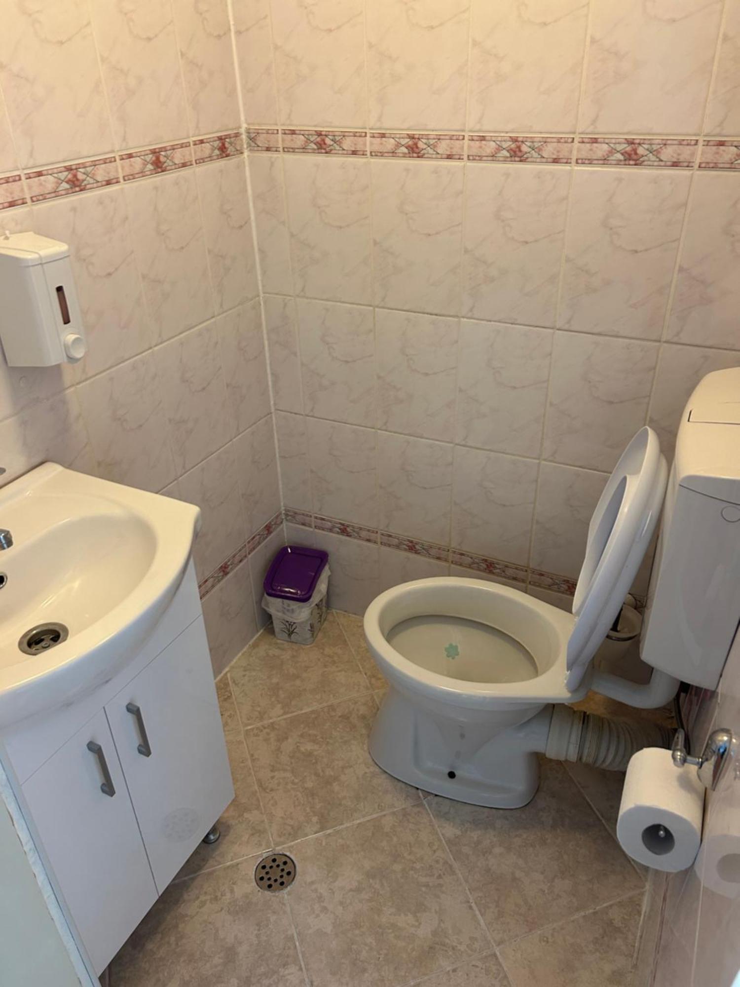 Apartament Bivolul Negru Blaj Zewnętrze zdjęcie